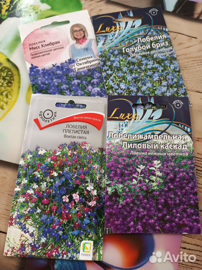 Рассада цветов: портулак, цинерария,виола и др