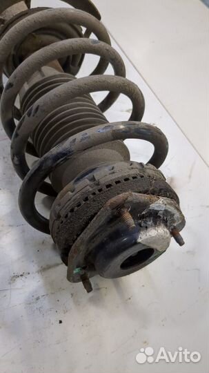 Амортизатор подвески Chrysler Voyager, 2008