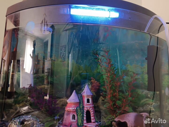 Аквариум с рыбками
