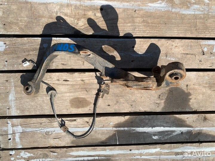 Цапфа задняя правая Hyundai Sonata EF G4JP 2005