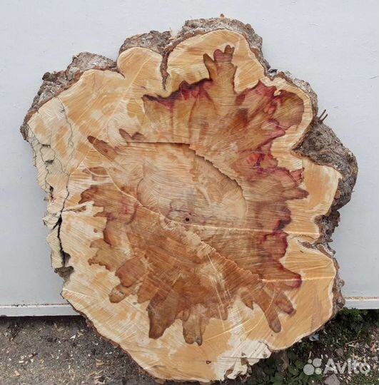 Слэбы карагача каповые, возможен обмен