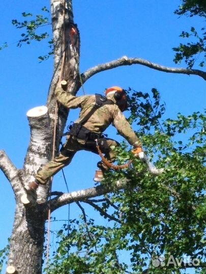 Спил деревьев и расчистка Мартыновский район