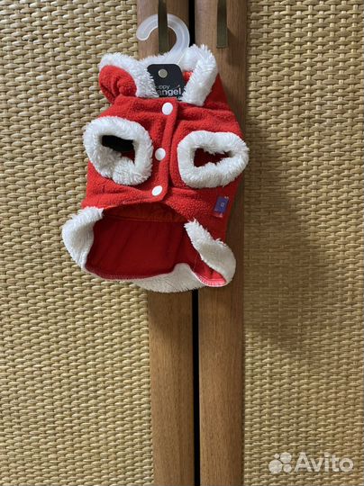 Вещи для чихуахуа