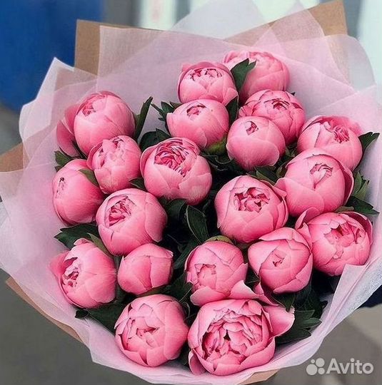 Пионы Букет пионов Доставка цветов