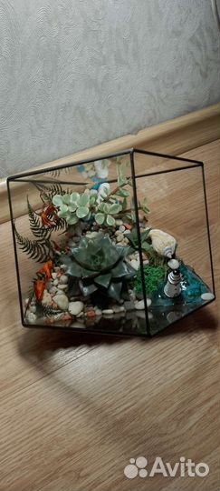 Мастер- класс Флорариум из суккулентов