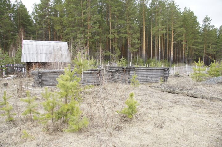 Дача 25 м² на участке 15 сот.