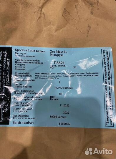 Гибриды кукурузы Пионер П7515