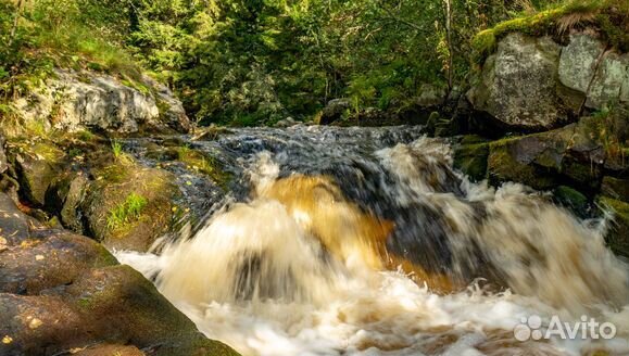 2.сен.23 Автобусный тур в Карелию /ка3020