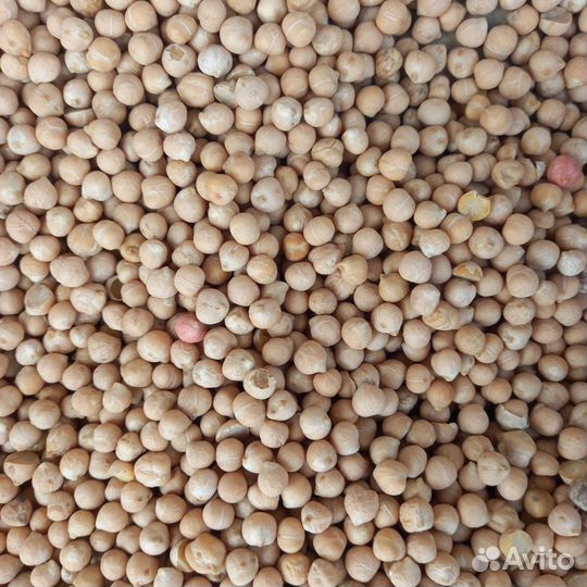 Зерно, комбикорма, семена