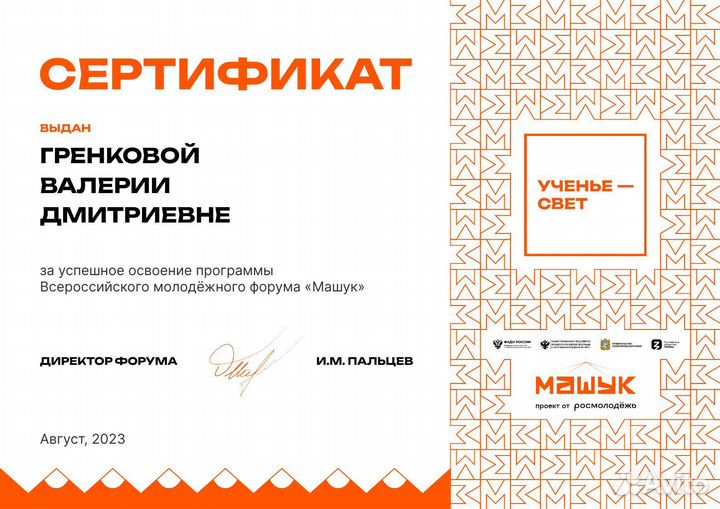 Репетитор по физике и математике