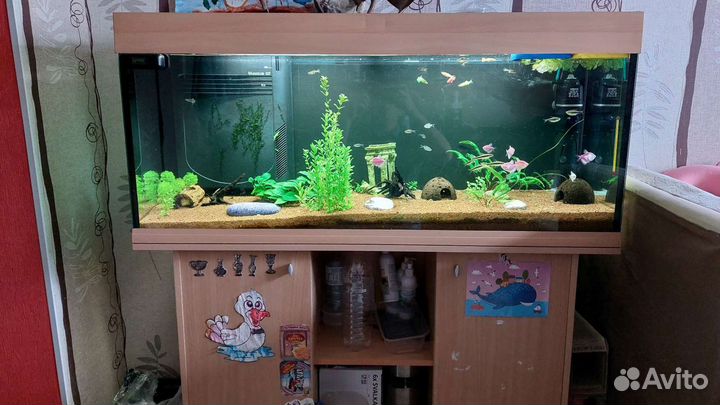 Аквариум с тумбой 240 л