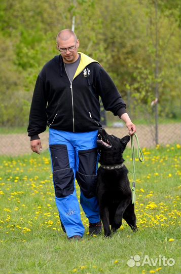 Спортивная дрессировка (IGP)