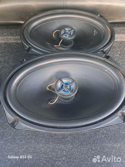 Динамики аcv