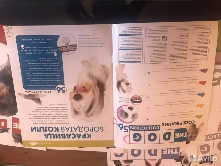 Журналы про собак