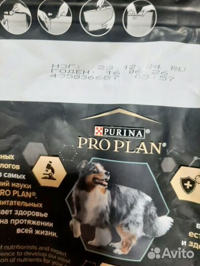 Сухой корм для собак