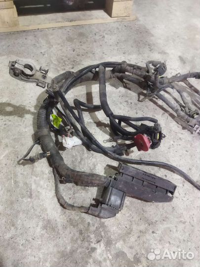 Проводка двигателя Шевроле Лачетти