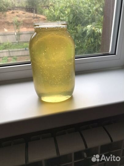 Мед белая акация 2024 года