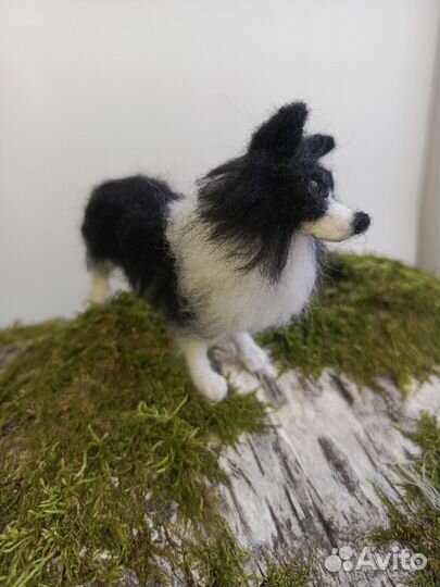 Бордер колли - валяная игрушка из шерсти