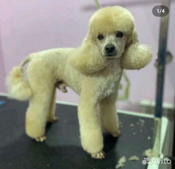 Вязка
