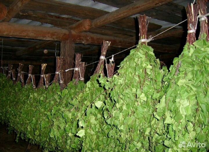 Веники для бани берёзовый