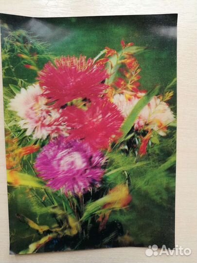 Стереофото