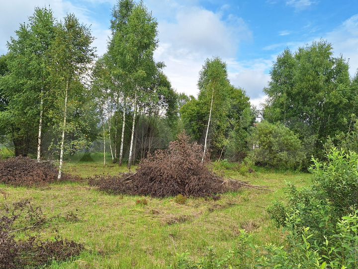 Участок 25 сот. (ИЖС)