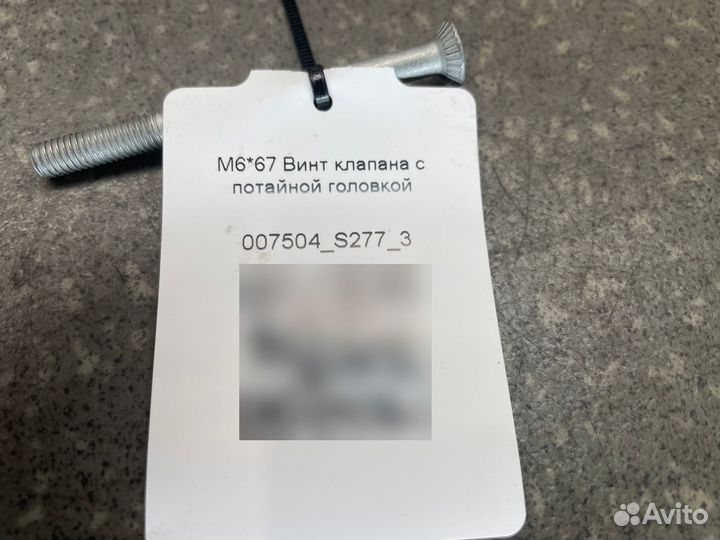 1493771 M667 Винт клапана с потайной головкой