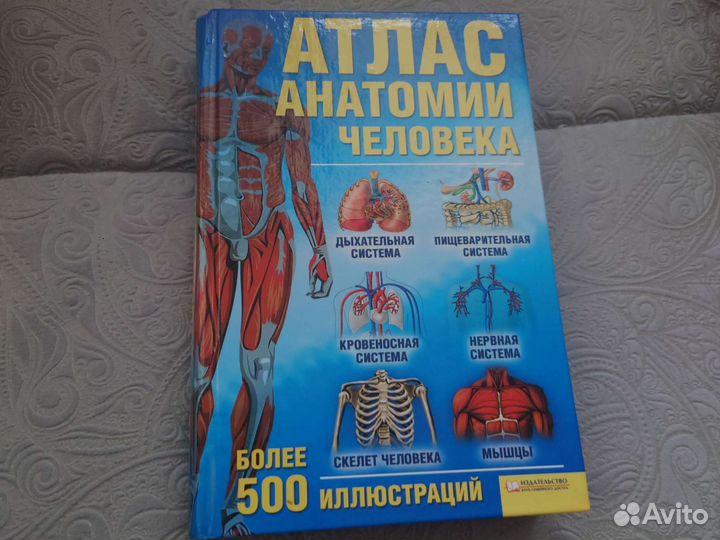 Атлас анатомии человека