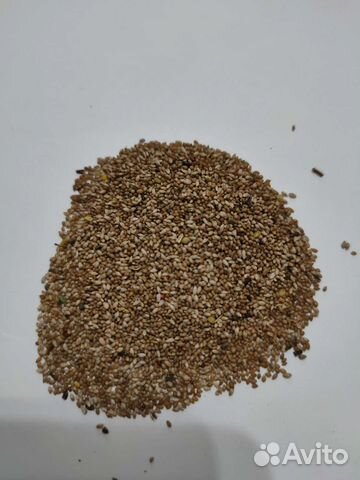 Семена тимофеевки