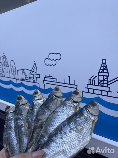 Вобла вяленная Астраханская