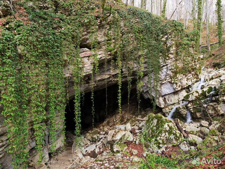Экскурсия — Сочи — Групповая экскурсия в Воронцовс