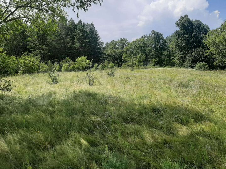 Участок 15 сот. (ИЖС)