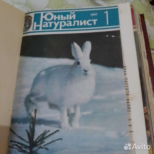 12 журналов в переплете