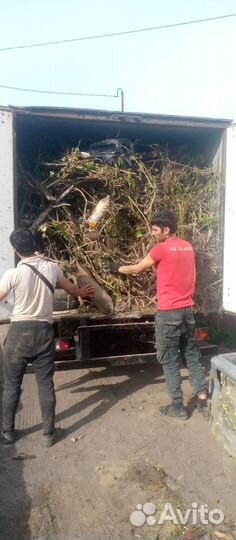 Вывоз строительного мусора