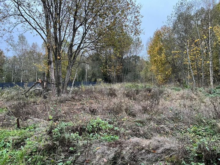 Участок 12,5 сот. (СНТ, ДНП)