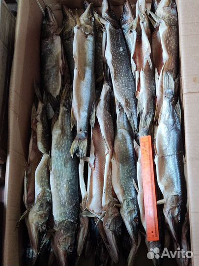 Вяленая рыба