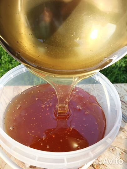 Таёжный майский Мёд с Акации жёлтой