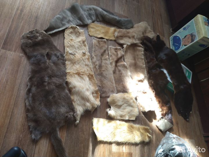Шкурки зверьков ценных пород