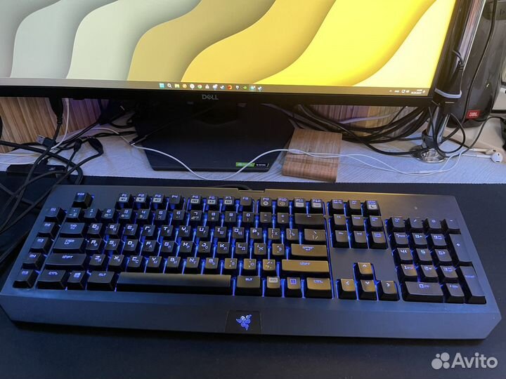 Игровая клавиатура Razer Blackwidow Chroma