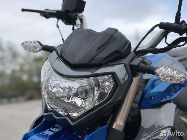 Мотоцикл Regulmoto T-Leopard 300