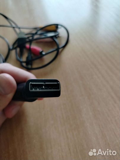 Тюльпаны провода