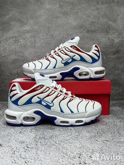 Кроссовки мужские Nike Air max TN plus