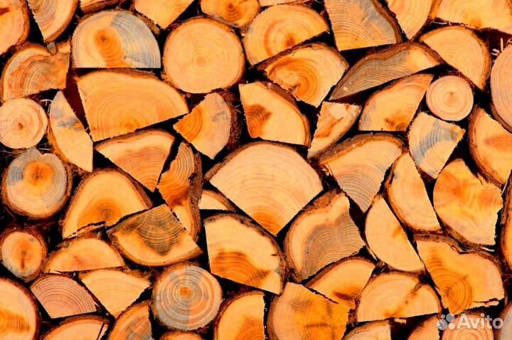 Дрова с Выборга