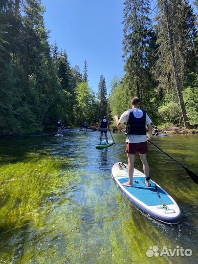 Прогулка на сапах по реке Оредеж