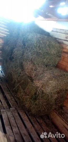 Сено в тюках