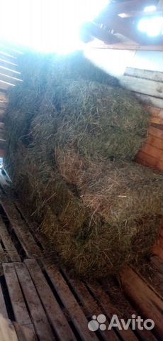 Сено в тюках