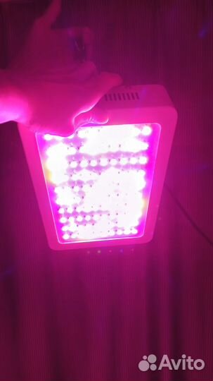 Фитолампа для растений полный спектр