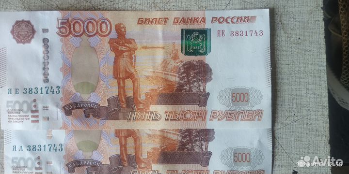 Купюра с одинаковыми номерами