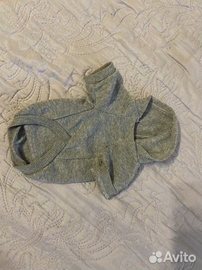 Одежда для собак