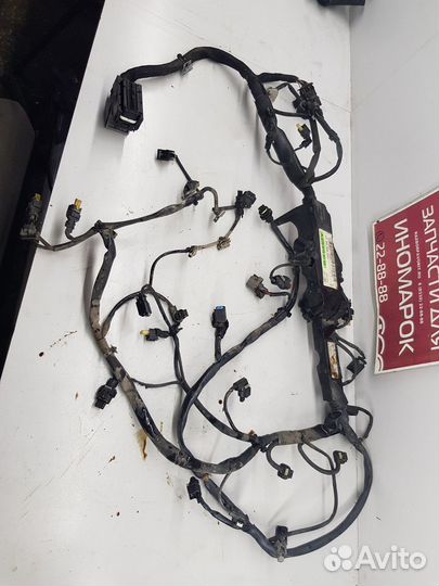 Электропроводка (моторная)